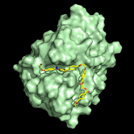 3D representation of the PETase enzyme.